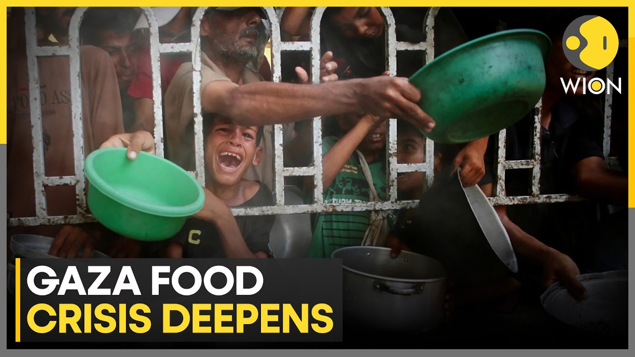 Israel-Gaza War: Israel Shuts All Gaza Crossings | Food Supplies in Gaza Running Out | WION