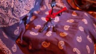 Redneck Girl web file.WMV