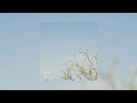 AVNT:GRD & NIIMO - Want You