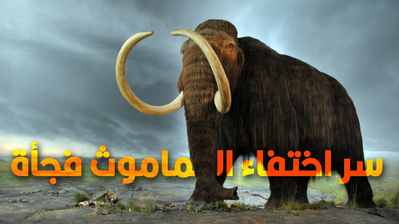 وحش القطب الشمالي.. القصة الكاملة لحياة وانقراض الماموث