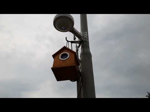 𝙪𝙨𝙗𝙚𝙡𝙡 𝙙𝙧𝙚𝙖𝙙𝙨 - Kaum rebahan official video