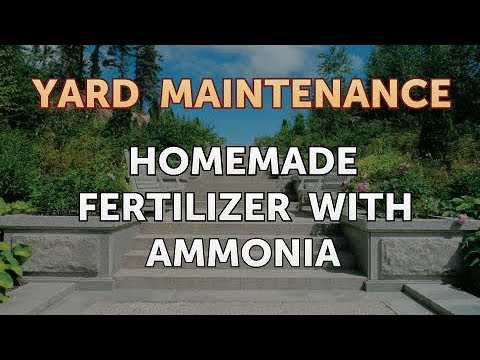 download lagu mp3 mp4 Epsom Salt And Ammonia For Lawn, download lagu Epsom Salt And Ammonia For Lawn gratis, unduh video klip Epsom Salt And Ammonia For Lawn