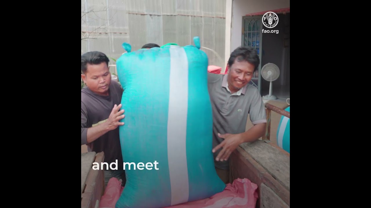 Climate-resilient seeds and practices for Cambodian livelihoods