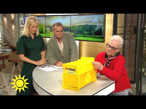 Jenny till trissvinnaren: "Tur du inte sålde lotten för 60 000" - Nyhetsmorgon (TV4)