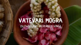 Download lagu |Vatevari Mogra| #marathisong #swapnilbandodkar #nostalgia#slowedandreverb #phulpakhru #hrutadurgule mp3 Download lagu |Vatevari Mogra| #marathisong #swapnilbandodkar #nostalgia#slowedandreverb #phulpakhru #hrutadurgule mp3