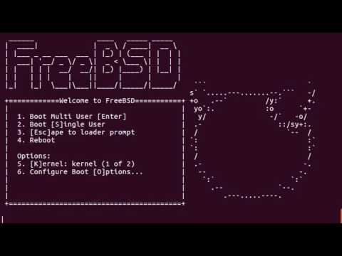 Bhyve FreeBSD guest