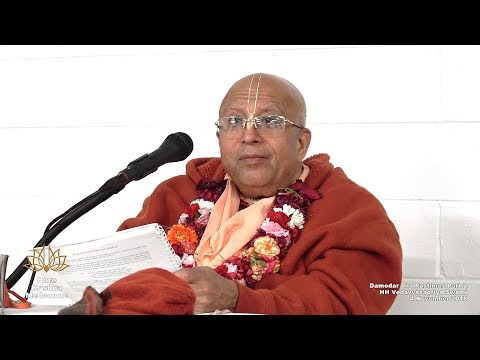Damodar Lila Pastimes Part 2 - HH Vedavyasapriya Swami