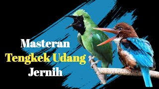Download lagu Masteran Tengkek Udang Untuk Isian Cucak Ijo mp3