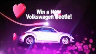 The Love Bug 2013 Valentine's Day Giveaway