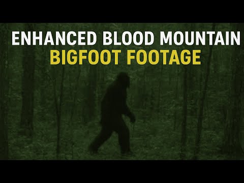 “Enhanced Blood Mountain Bigfoot Footage | Real Sasquatch Sighting Near Blue Ridge, Georgia?”
