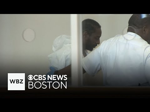 Boston man charged with shooting and stabbing 4 people, including young child