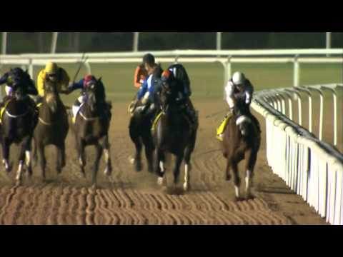 20.11.2014 Meydan (Dubai-UAE) 4.Race Dubai Duty Free&Jumeirah Jumeirah Hotel - Handicap 1.200 m 720p