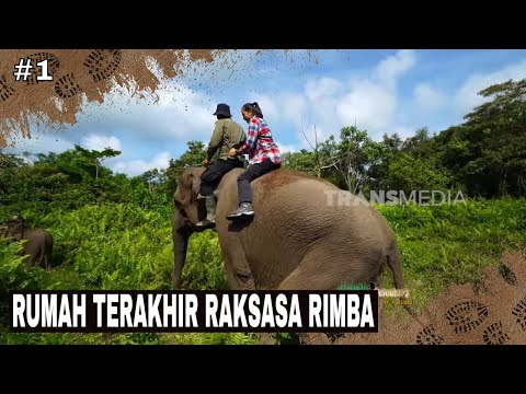 RUMAH TERAKHIR RAKSASA RIMBA | JEJAK PETUALANG (28/11/25) Part 1