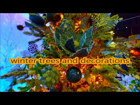 Spruces and other plants. Walk through the Dutch garden center. Christmas And Black white interiors