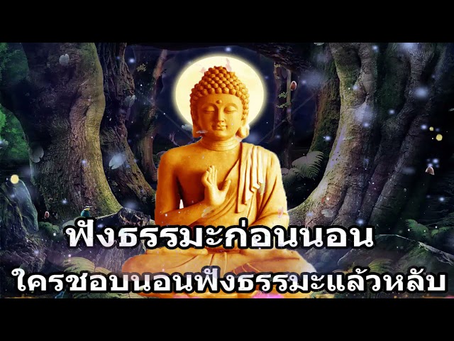 เพลงเพื่อชีวิต เพราะๆ mp3 ฟรี ไม่มี โฆษณา