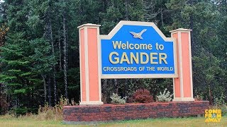 Bringing Gander to Broadway