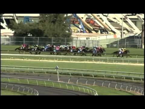 2006 - Dubai Rosehill Guineas - De Beers