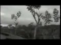 Sindoora Kiranamayi Ninne Thazhuki Pathmavyooham 1973