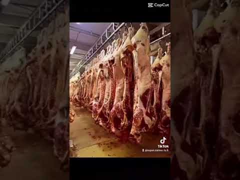 Single Video thumbnail