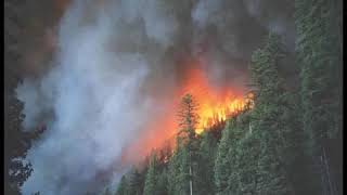 The Problem  by Downhere LYRICS