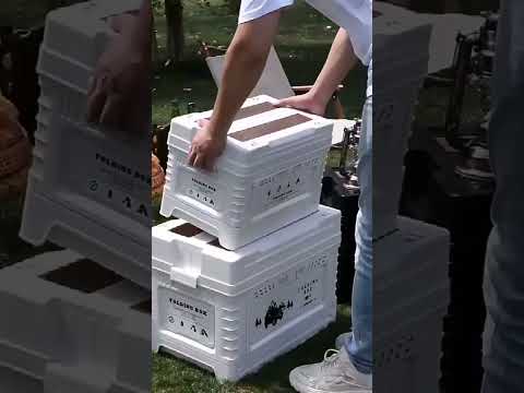 Миниатюра изображения товара Контейнер для хранения Happy Home HH-013 многофункциональный со столиком и модулем (70л, белый)