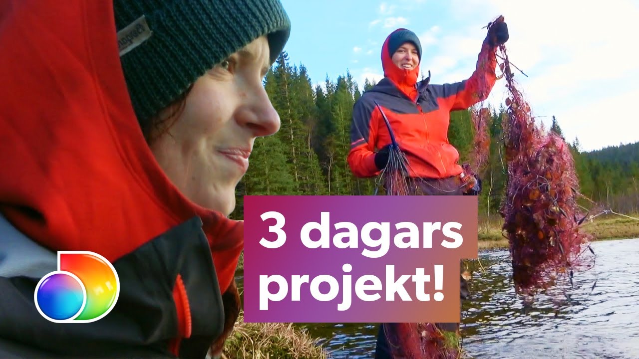 Ensam i vildmarken | Envishet och tålamod övervinner allt i vildmarken | discovery+ Sverige