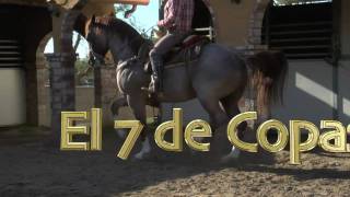 Laberinto - El Tarahumara - www.DavidySusCaballos.com -El 7 de Copas