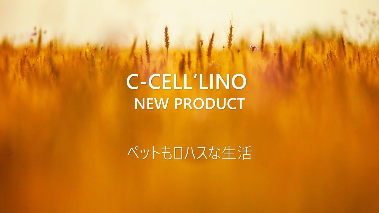シセルリノ新製品情報 Shampoo＆Treatment