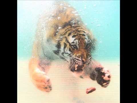 PMC080 | JLMEP001 - DZA "Supershark" EP snippet (Project: Mooncircle | Jus' Like Music, 2011)