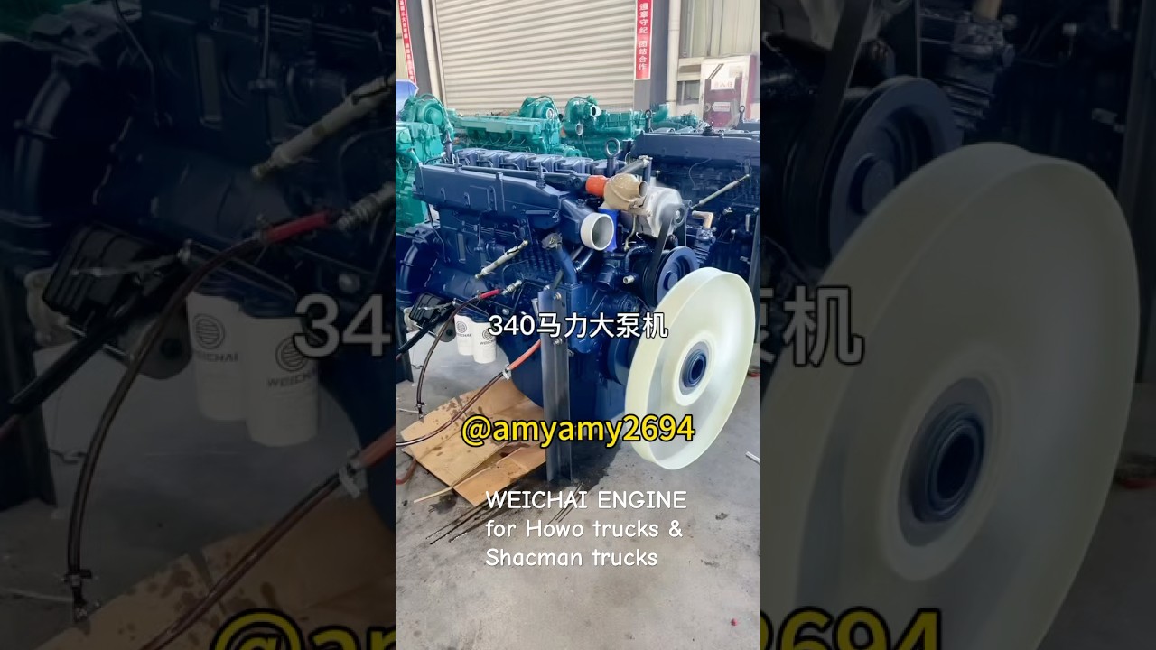 Weichai engine WP10 WP12 OEM engine 340hp weichai engine suitable for Shacman trucks and Howo trucks