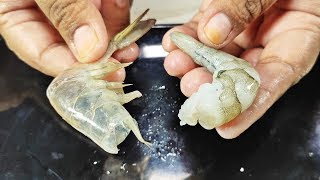 Download lagu JUST 5 SECONDS! PEEL THE SHELL OF WHOLE SHRIMPS WITH YOUR HANDS mp3