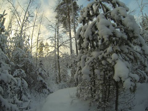 Lumista päivää kaikille