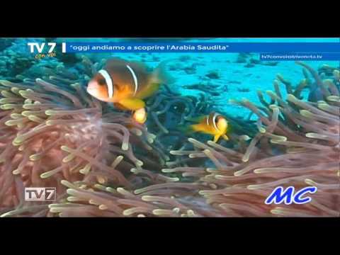 Tv7 con Voi del 20/10/2016 - Oggi andiamo a scoprire l'Arabia Saudita (3 di 3)