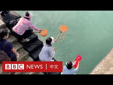 放生動物
