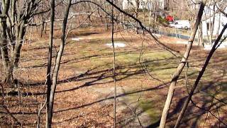 preview picture of video 'Greenspace for Pelham NY 10803'