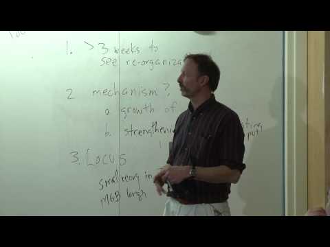 22. Auditory cortex 1: Physiology and sound localization