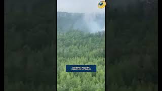 ՌԴ Ամուրի մարզում ինքնաթիռ է կործանվել