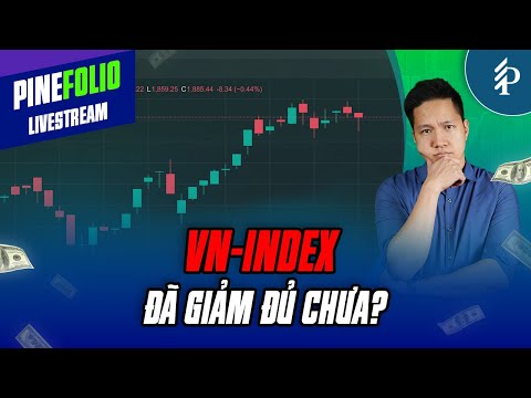Thị trường phân hoá, dòng nào sẽ dẫn dắt VNIndex? | Livestream Pinefolio