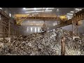 Process Of Melting Tons Of Scrap Metal And Manufacture High Quality Rebar