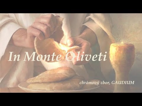 Chrámový zbor GAUDIUM - In Monte Oliveti