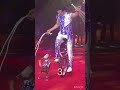 Big Apple Circus Acts Circus Bigapplecircus
