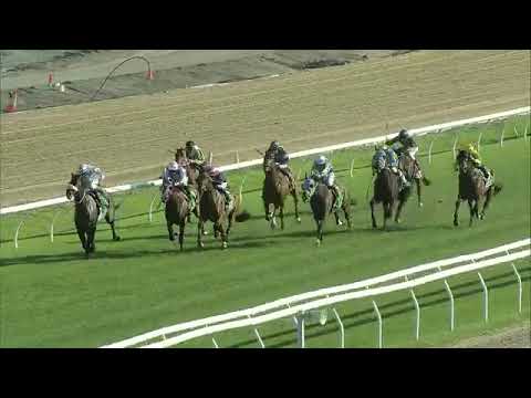 Emerald Kingdom wins the Listed Recognition Stakes