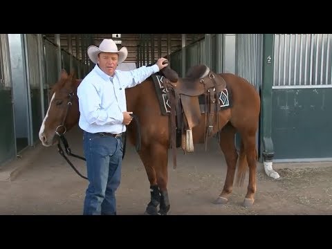How to Choose a Saddle Pad with Ken McNabb