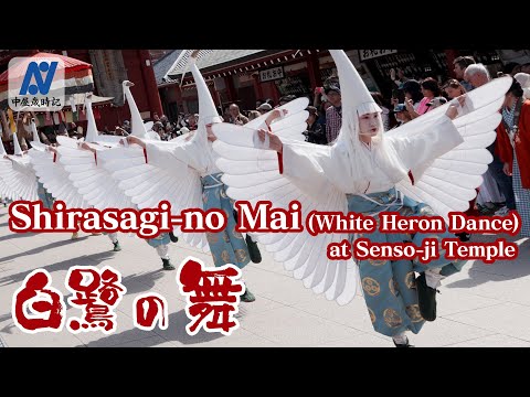 Tokyo Taito - Sensoji Temple live cam