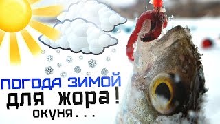 При какой погоде ловят окуня зимой