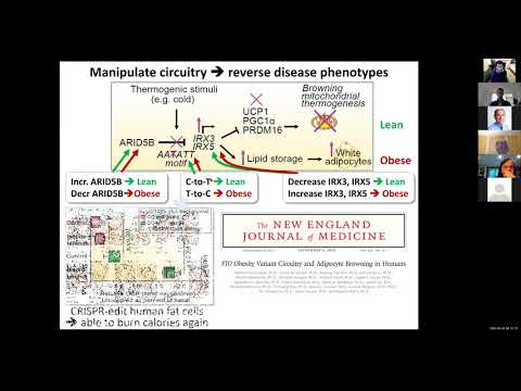 Single-cell dissection of human disease circuitry - Manolis Kellis at MGH DS Genetics Grand Rounds
