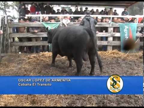 OSCAR LOPEZ DE ARMENTIA - Cabaña: El Transito - Hourcade Albelo y Cia - Ayacucho - 07/09/2013