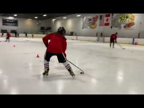 Hockey 360 Spin With Puck