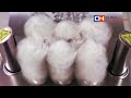 Video: Abrillantadora secadora de copas 360 a la hora Línea Estambul EMPBPR002
