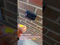 Flipper Zero Brute-forces A Door Open